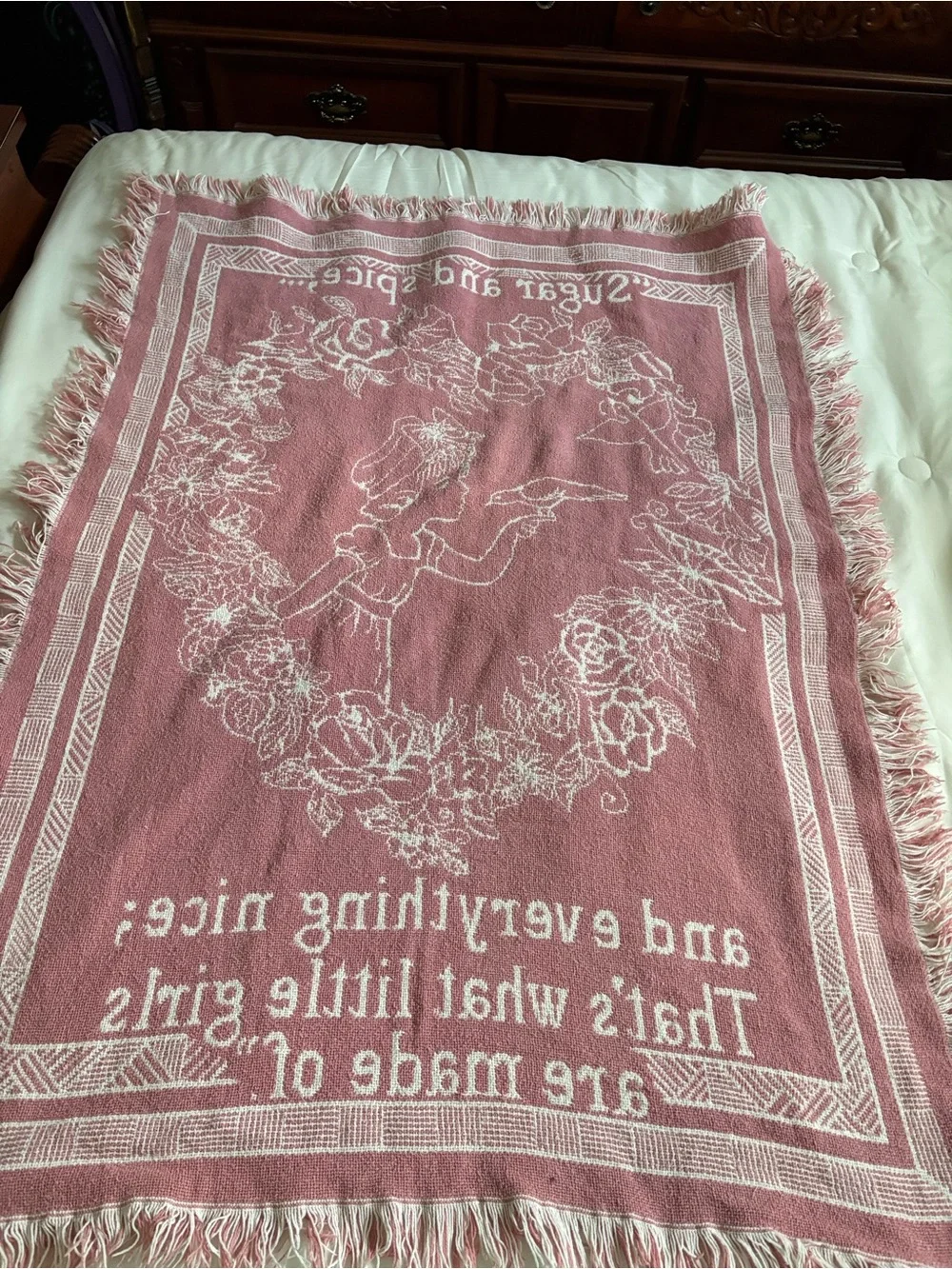Sugar and Spice Pink Woven Throw Blanket